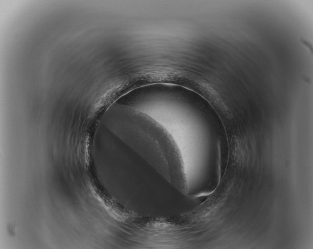 X0000099550590200805231153