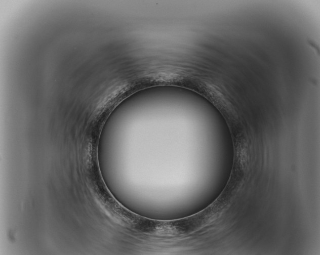 X0000099550591200805231153