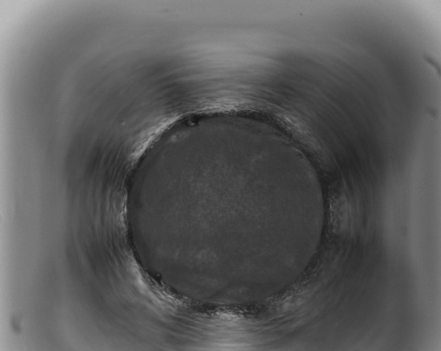 X0000099550592200805231153