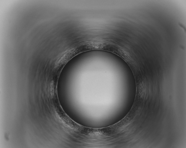 X0000099550594200805231153