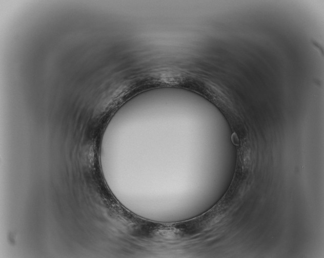 X0000099550595200805231153