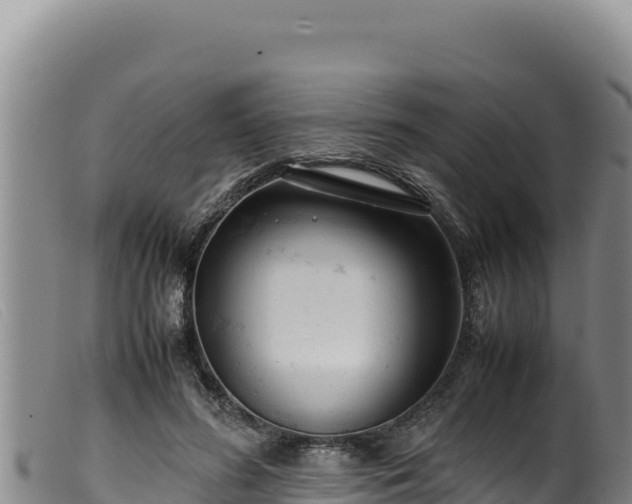 X0000099550596200805231153