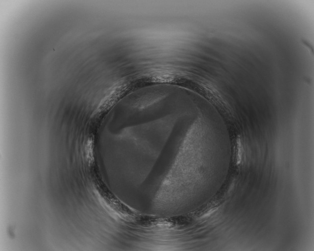 X0000099550598200805231153