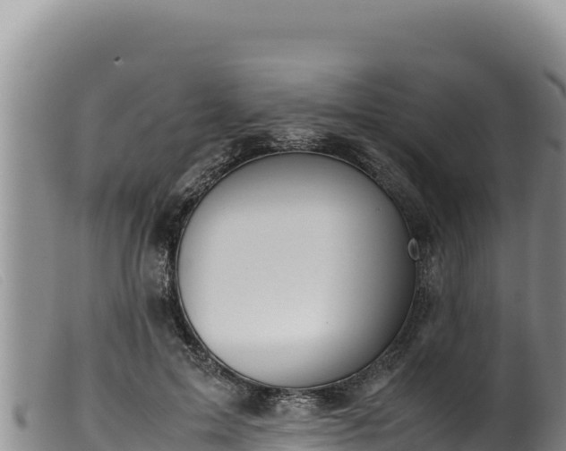 X0000099550599200805231153