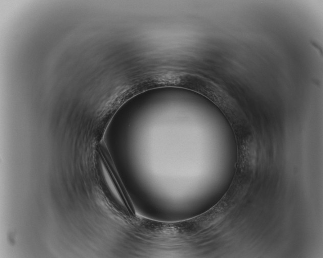 X0000099550600200805231153