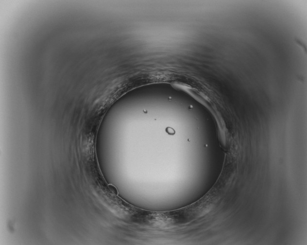 X0000099550601200805231153