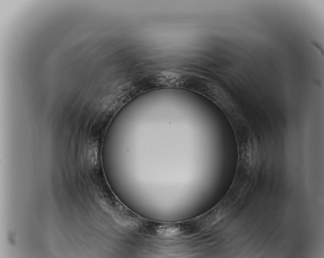 X0000099550602200805231153