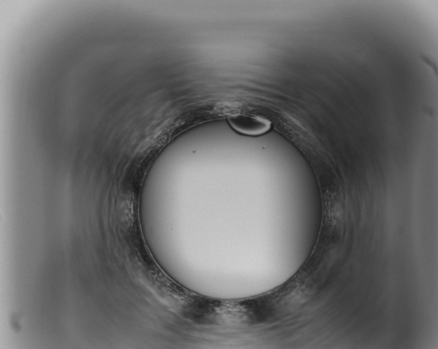 X0000099550603200805231153