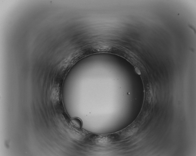 X0000099550604200805231153