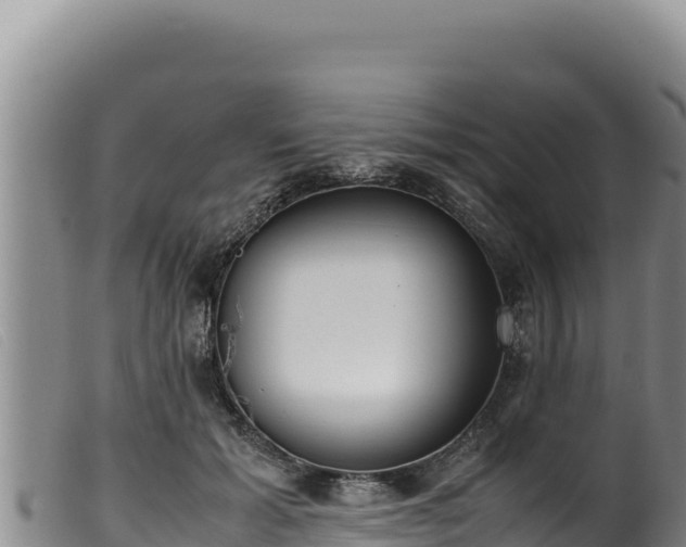 X0000099550605200805231153