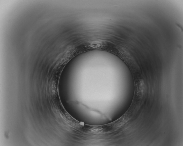 X0000099550606200805231153