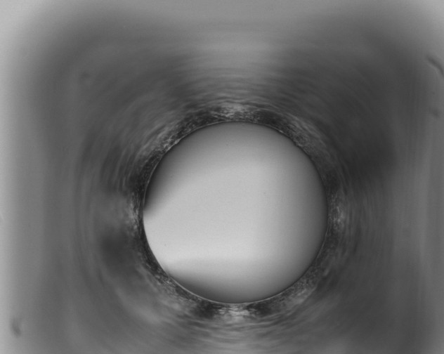 X0000099550607200805231153