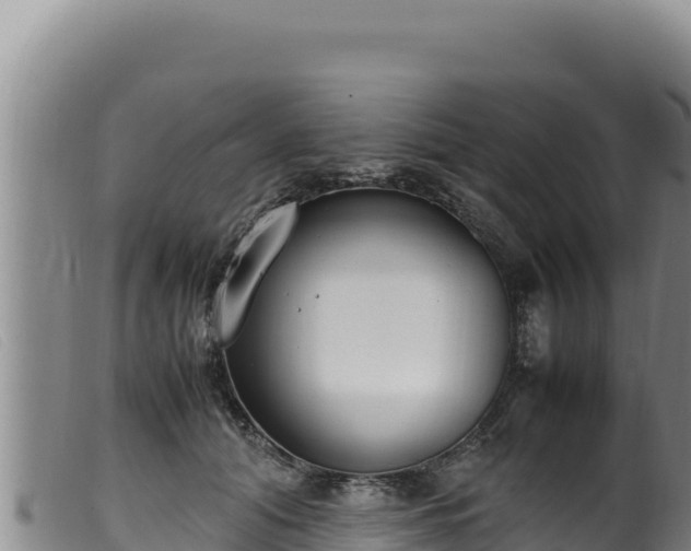 X0000099550608200805231153