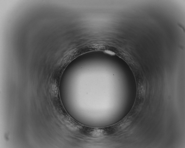 X0000099550609200805231153