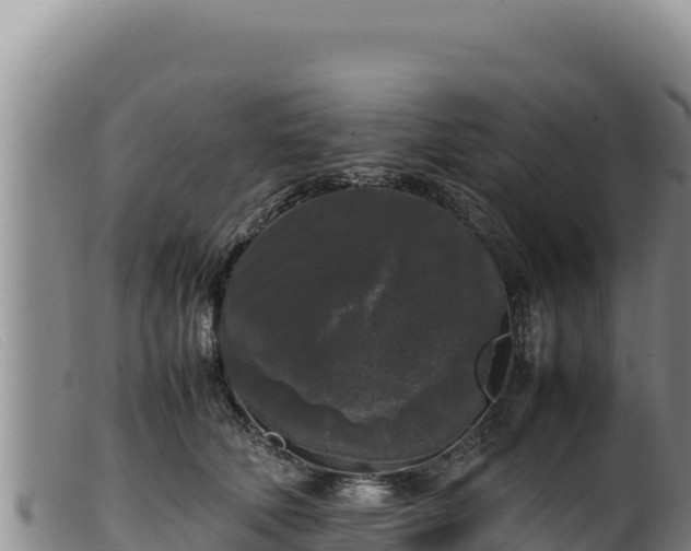 X0000099550610200805231153