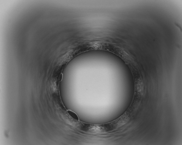 X0000099550611200805231153