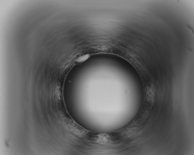 X0000099550612200805231153