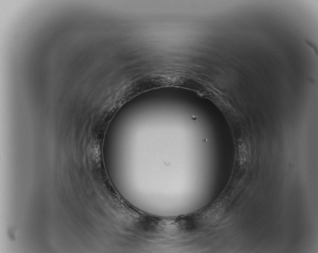 X0000099550613200805231153