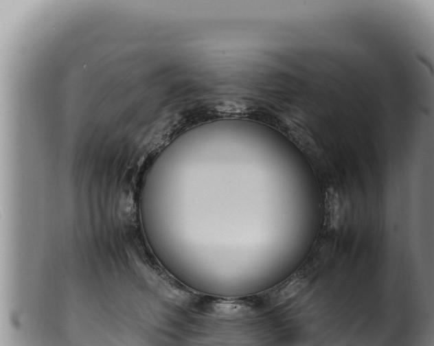 X0000099550614200805231153