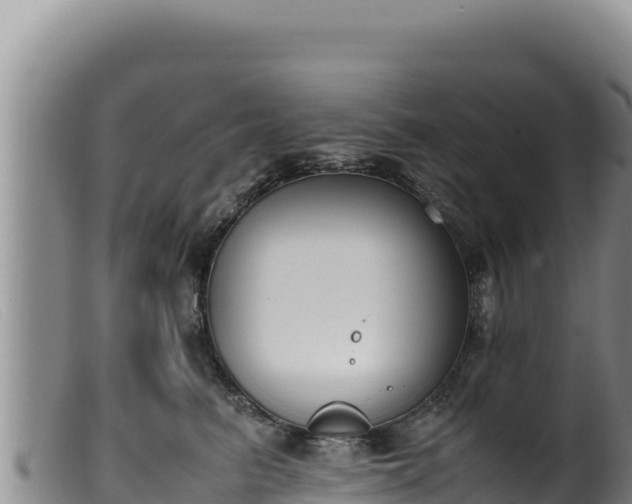 X0000099550615200805231153