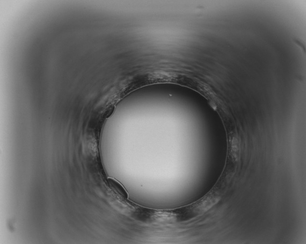 X0000099550617200805231153