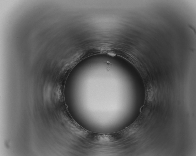 X0000099550618200805231153