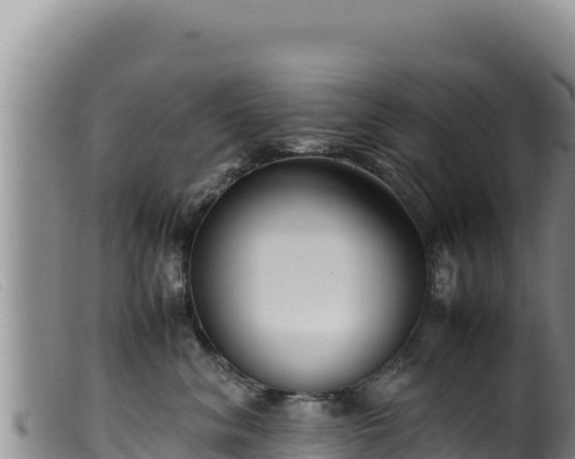 X0000099550620200805231152