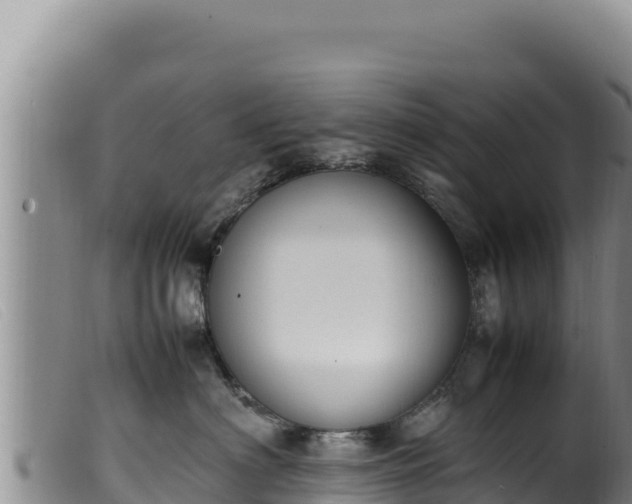 X0000099550622200805231152