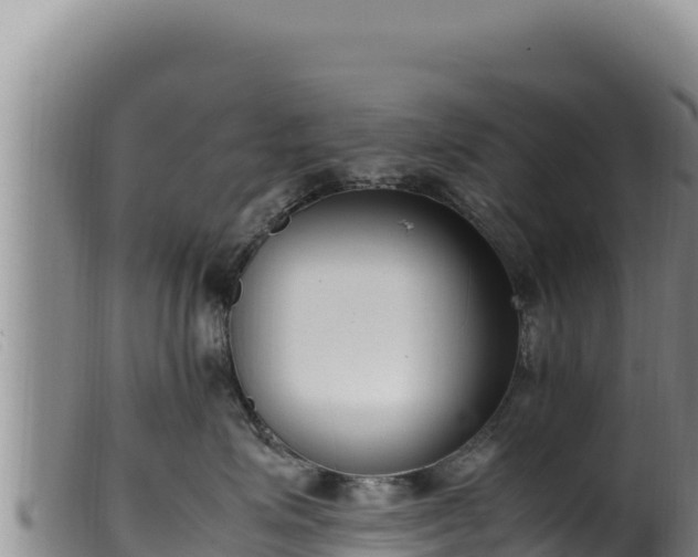 X0000099550623200805231152