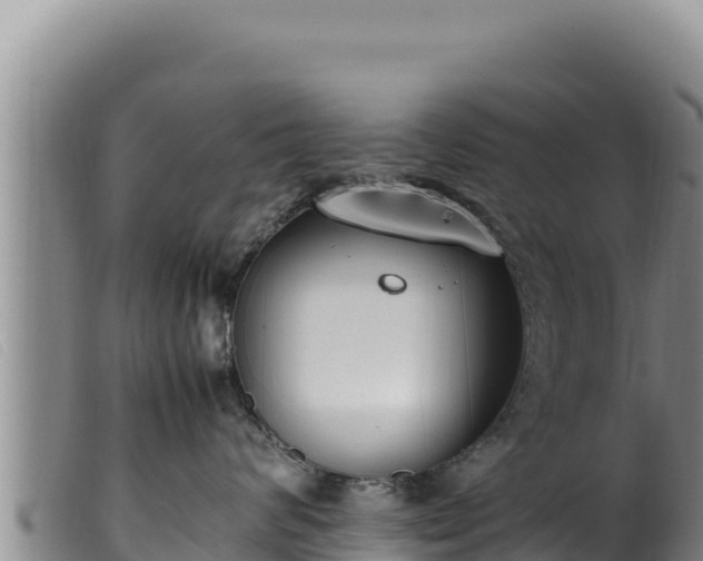 X0000099550624200805231152