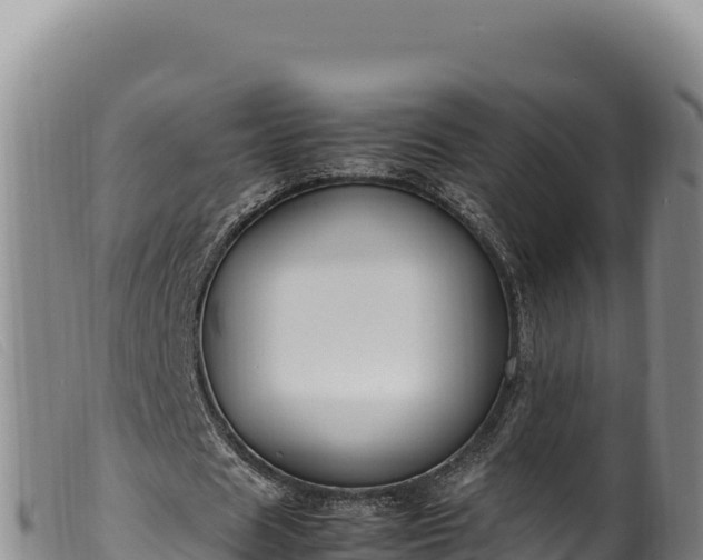 X0000099550625200805231152