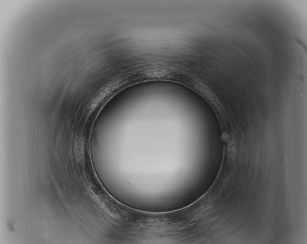 X0000099550626200805231152