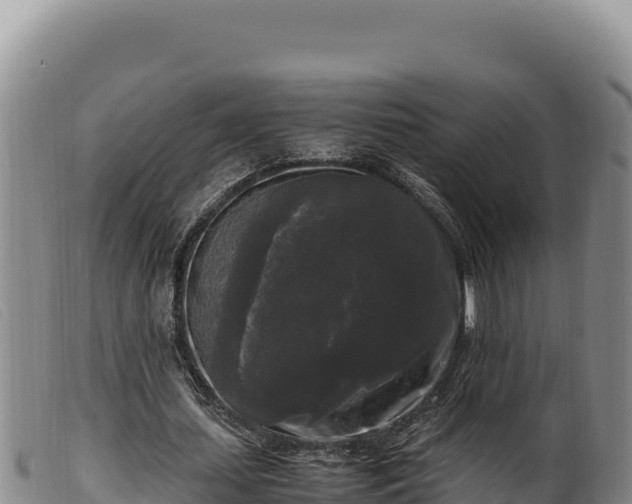 X0000099550627200805231152