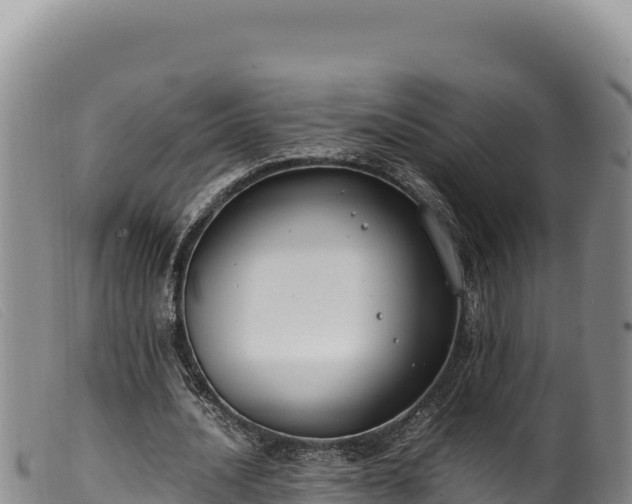 X0000099550628200805231152