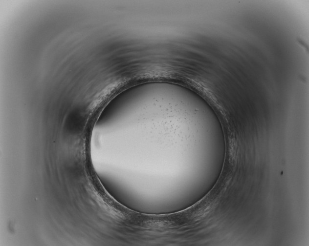 X0000099550629200805231152