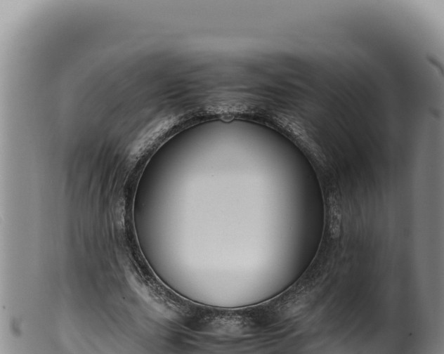 X0000099550631200805231152