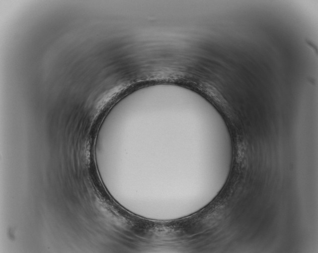 X0000099550632200805231152