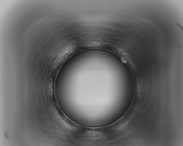 X0000099550633200805231152