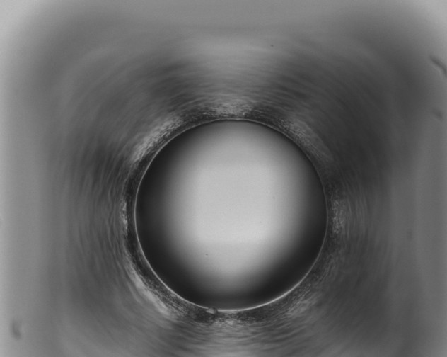 X0000099550634200805231152