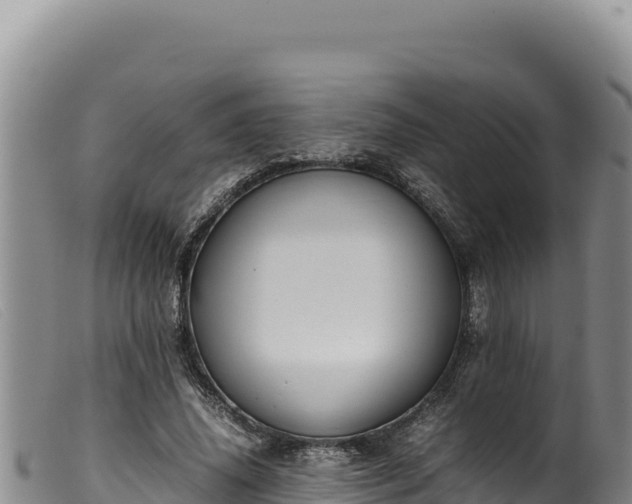 X0000099550636200805231152