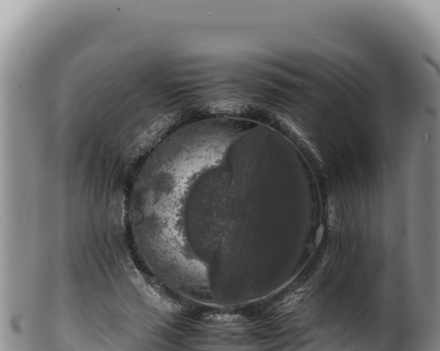 X0000099550637200805231152