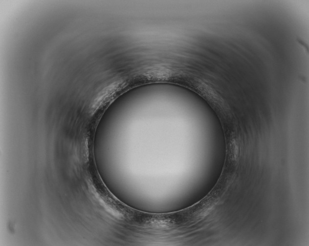 X0000099550638200805231152