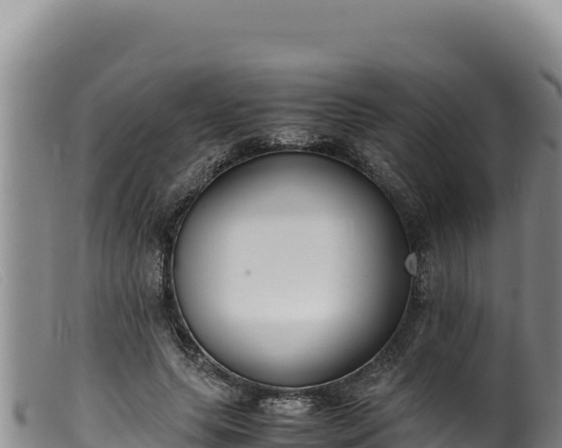 X0000099550639200805231152