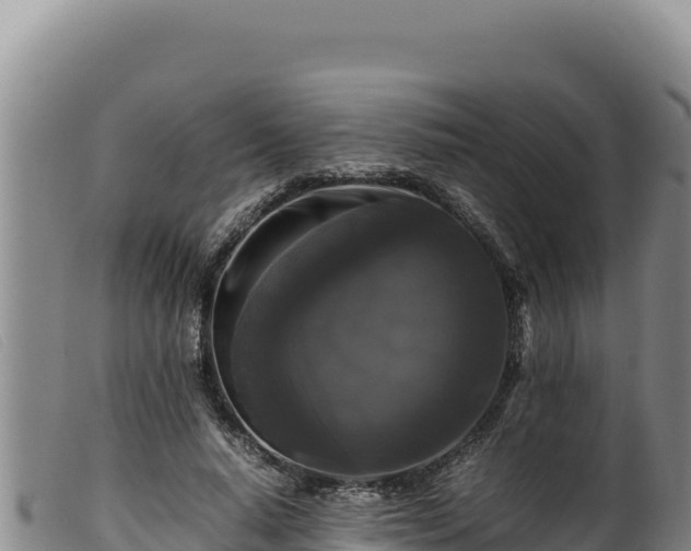 X0000099550640200805231152