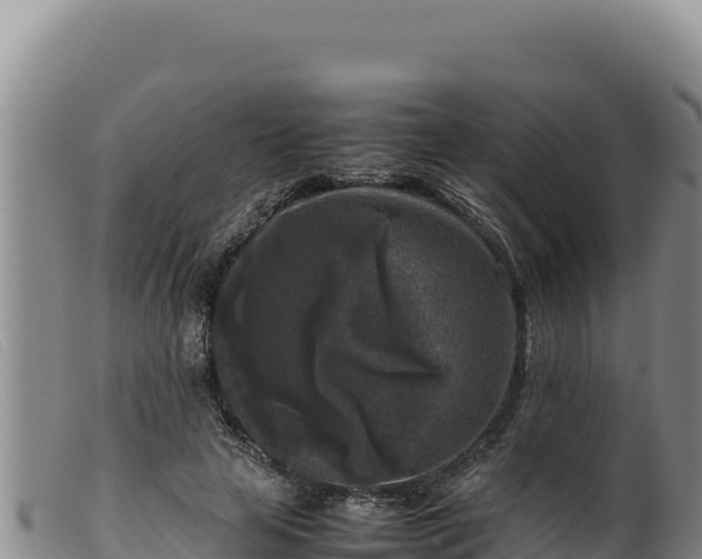 X0000099550641200805231152