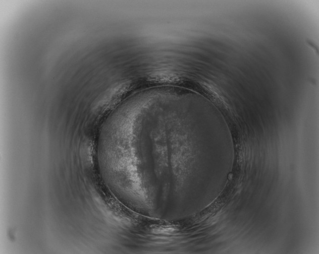 X0000099550643200805231152