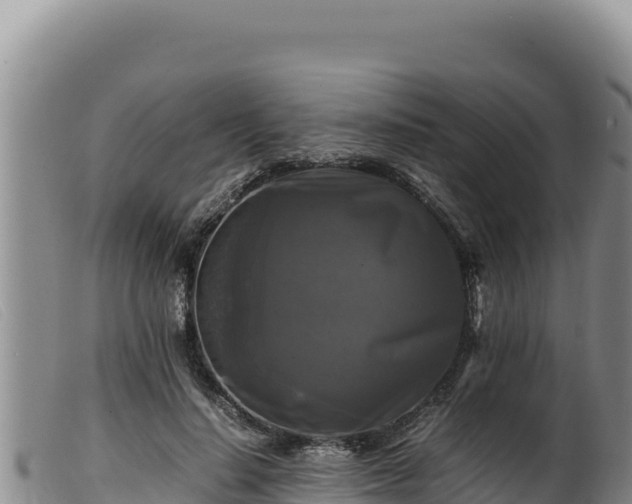 X0000099550644200805231152