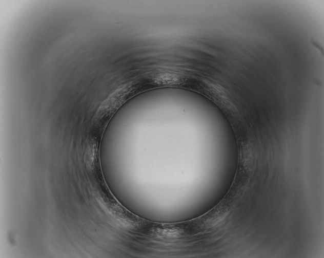 X0000099550645200805231152