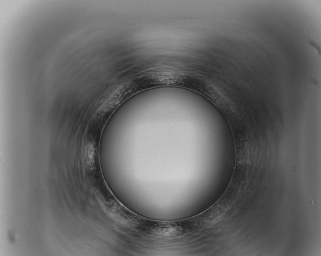 X0000099550646200805231152