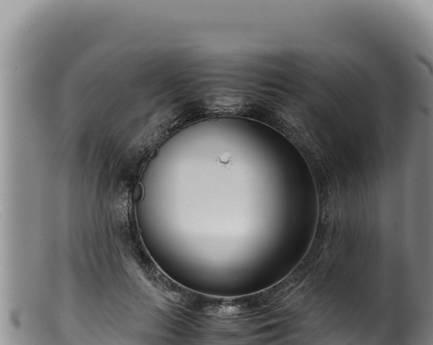 X0000099550647200805231152